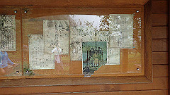 p5130593_thumb.jpg