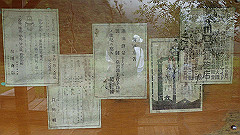p5130594_thumb.jpg
