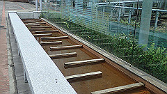 p5130598_thumb.jpg