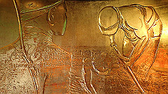 p5130603_thumb.jpg