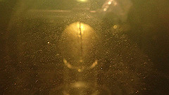 p5130605_thumb.jpg