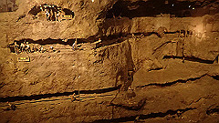 p5130607_thumb.jpg