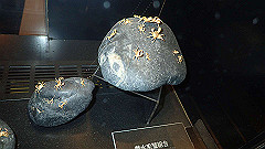 p5130616_thumb.jpg