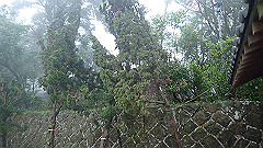 p5130628_thumb.jpg