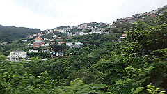 p5140752_thumb.jpg