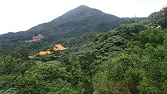 p5140755_thumb.jpg