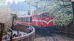 p5140813_thumb.jpg