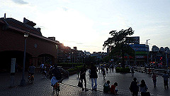 p5140838_thumb.jpg