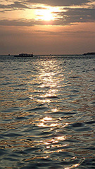 p5140865_thumb.jpg