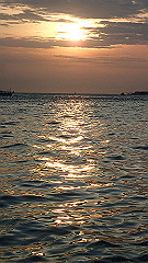 p5140866_thumb.jpg