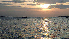 p5140867_thumb.jpg