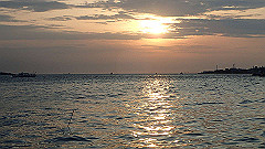 p5140868_thumb.jpg