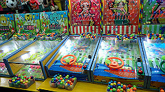 p5140876_thumb.jpg