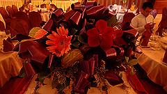 p5150963_thumb.jpg