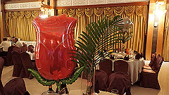 p5150966_thumb.jpg