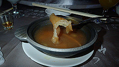 p5150988_thumb.jpg