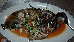 p5150989_thumb.jpg