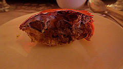 p5150992_thumb.jpg