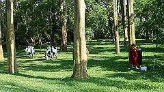 p5151016_thumb.jpg