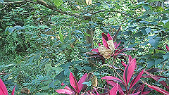 p5151017_thumb.jpg