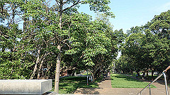 p5151023_thumb.jpg
