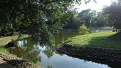 p5151038_thumb.jpg