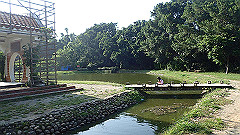 p5151039_thumb.jpg