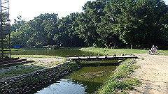 p5151040_thumb.jpg