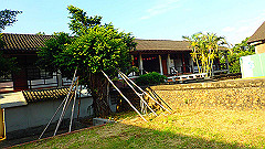p5151042_thumb.jpg
