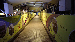 p5151057_thumb.jpg