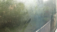 img_4666_thumb.jpg
