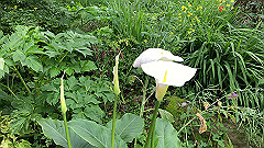 img_4688_thumb.jpg