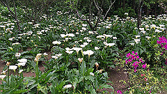 img_4691_thumb.jpg