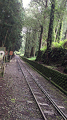 img_4695_thumb.jpg