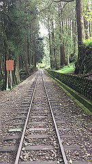 img_4696_thumb.jpg