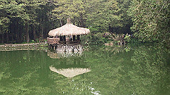 img_4701_thumb.jpg