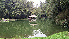 img_4702_thumb.jpg