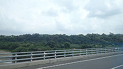 p5161100_thumb.jpg