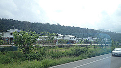 p5161101_thumb.jpg