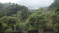 p5161105_thumb.jpg