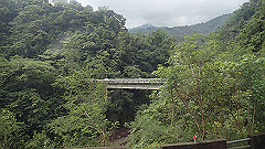 p5161106_thumb.jpg