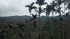 p5161107_thumb.jpg