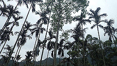 p5161108_thumb.jpg