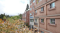 p5161133_thumb.jpg