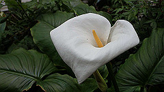 p5161141_thumb.jpg