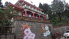 p5161153_thumb.jpg