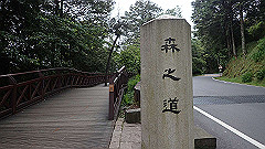p5161165_thumb.jpg