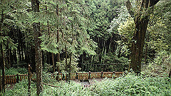 p5161166_thumb.jpg