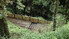 p5161167_thumb.jpg