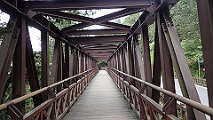 p5161172_thumb.jpg